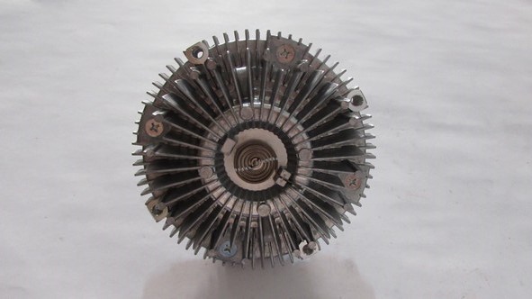 FAN TERMIGI